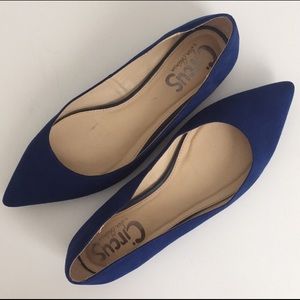 Blue Suede Pointed Toe Flats